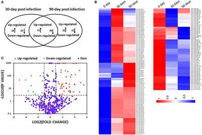 Profiling of miRNAs in Mouse Peritoneal Macrophages Responding to <mark class="highlighted">Echinococcus multilocularis Infection</mark>